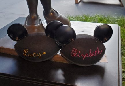 Disneyland Twins Ears.jpg