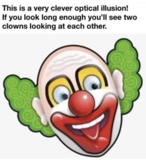 1698613140868.jpeg