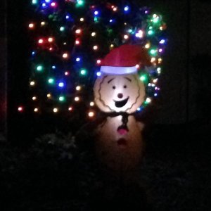 IMG_0729.jpeg