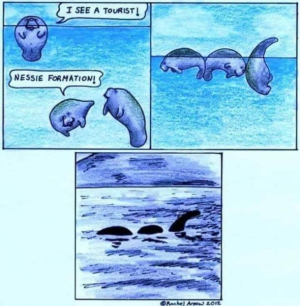 1698713194991.png