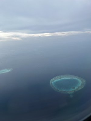 IMG-4076.jpg