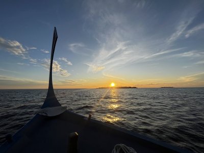 IMG-4222.jpg