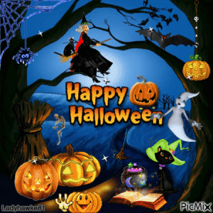 IMG_2658.gif