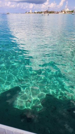 Cayman Islands 1.jpg