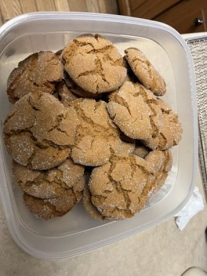 IMG_1871.jpeg