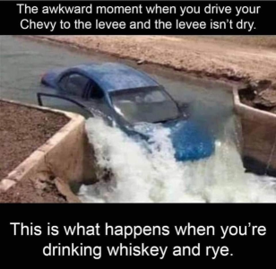 1698783135970.png