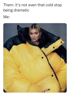 1698800342175.png