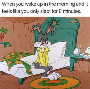 1698837379041.png