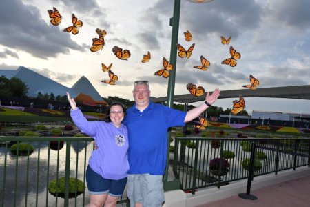 Butterfly Pic.jpg