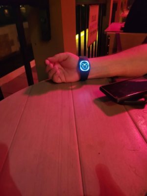 Magic Band.jpg