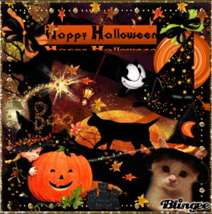 IMG_2659.gif