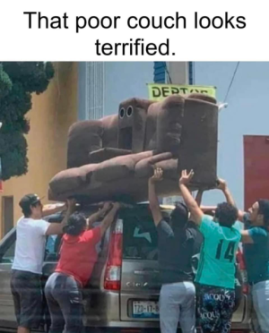 1698981976594.png