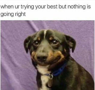 1699104360432.png