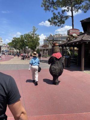 IMG_3780.JPG
