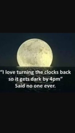 IMG_8181.jpeg