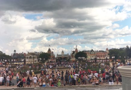 IMG_20220913_172537.jpg