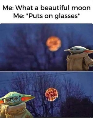 IMG_8197.jpeg
