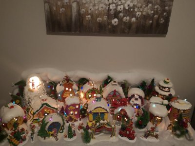 IMG_20231105_181058.jpg