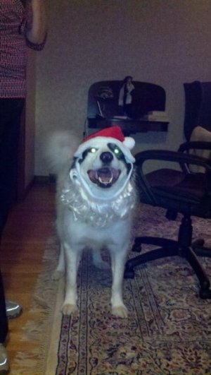 2011-12-04_20-27-02_289.jpg