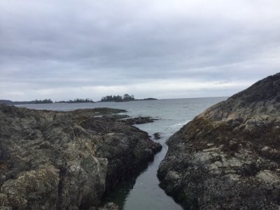 143003B4-05F3-4E70-A065-B50E4669C6B7.jpeg