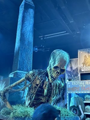 IMG_6943.jpeg