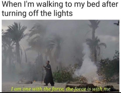 1699388709537.png