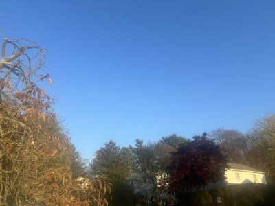 IMG_2542.jpeg