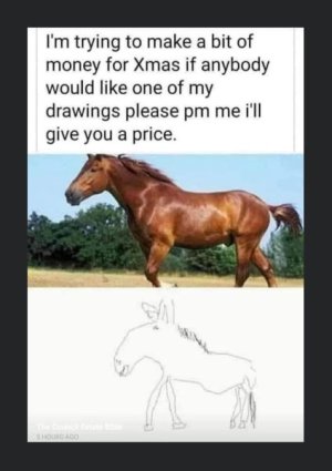 IMG_1526.jpeg