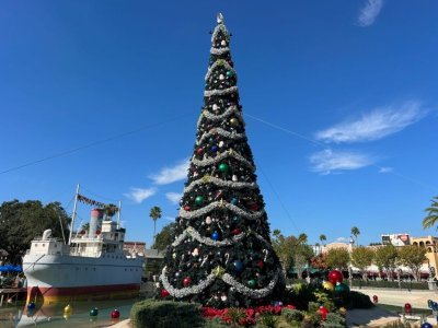 IMG_2773.jpeg