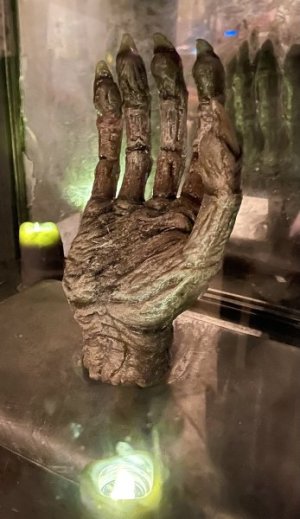 IMG_7040.jpeg