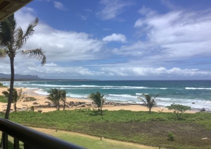 IMG_0041.jpeg