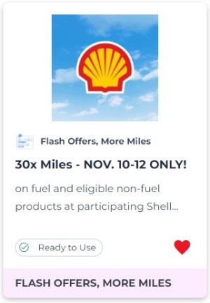 shellflash7.jpg
