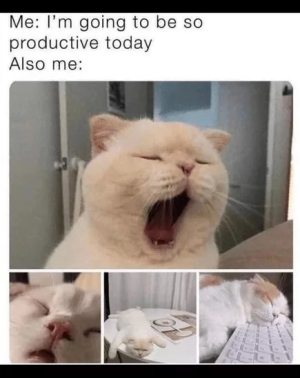 1699797538409.png