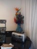 DSCF5840.jpg