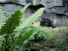 DSC08575.JPG