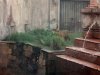 DSC08581.JPG