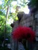 DSC08589.JPG