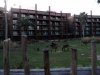 DSC08606.JPG