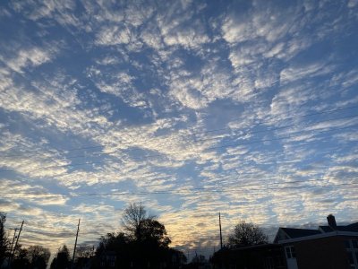 IMG_0527.jpeg