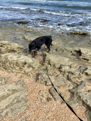 beach clambering.jpg beach clambering.jpg