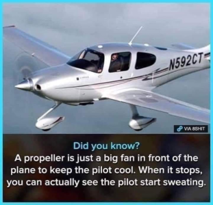 1699836607518.png