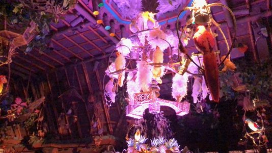IMG_1637.jpeg