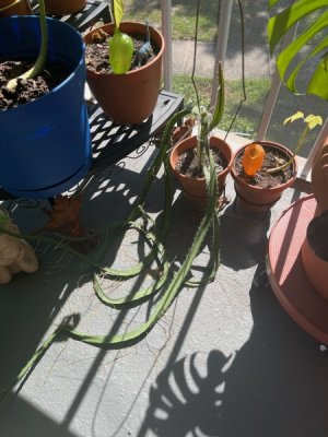 719078039.jpg 719078039.jpg