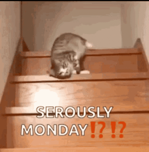 IMG_2855.gif
