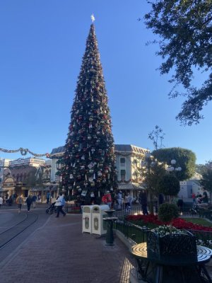 IMG_7001.jpeg