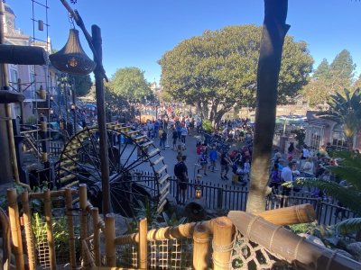 IMG_7035.jpeg