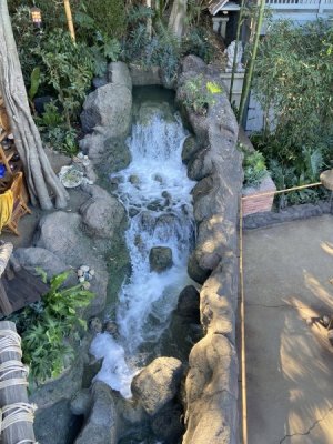 IMG_7052.jpeg