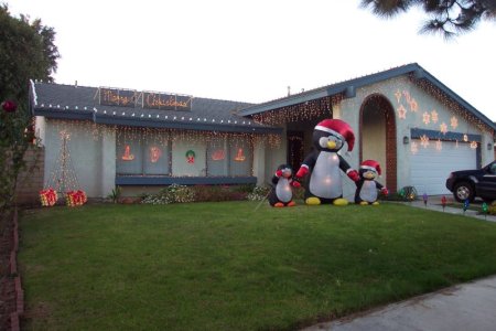 2008 christmas lights house dcp_1855.jpg