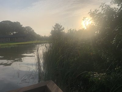 IMG_2344.jpeg