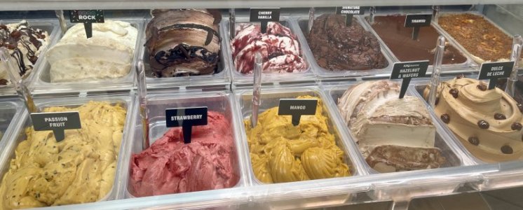 IMG_7111.jpeg